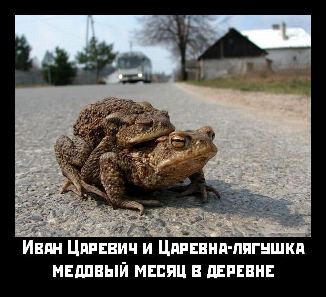 Ржачка на выходные...