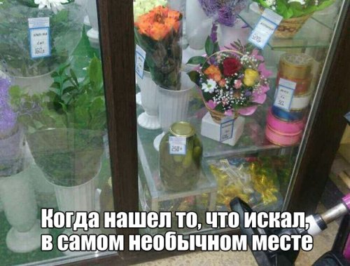 Много фото-приколов и картинок (60 шт)