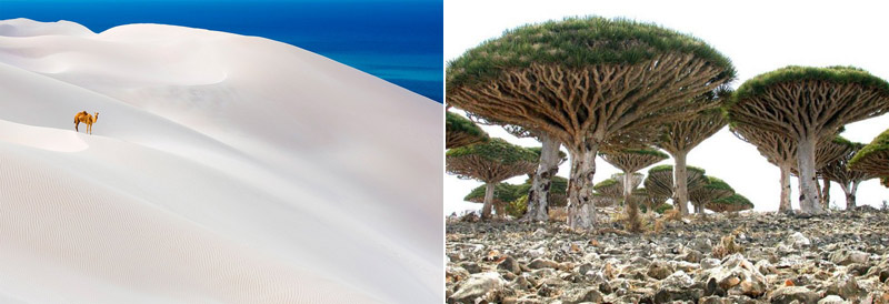 Неземные пейзажи Сокотры