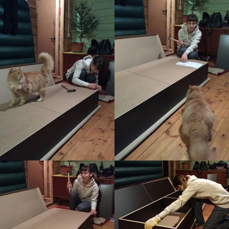 Собрать мебель без помощи мужика? Нет проблем! женщины, мужчины, прикол, юмор