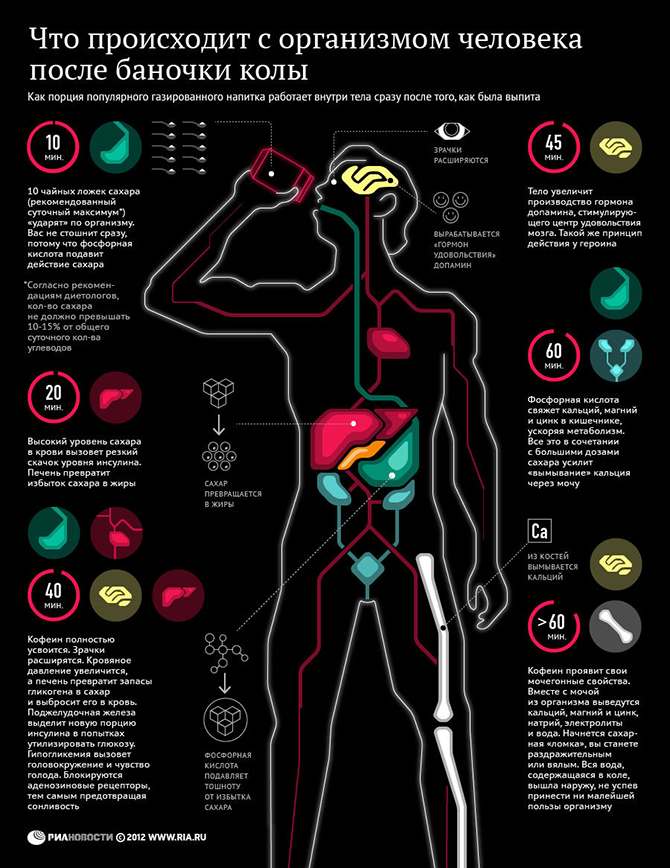 Что происходит с организмом человека после одной банки кока-колы