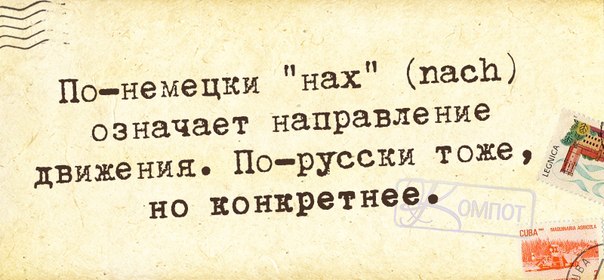 Веселые фразочки в картинках 