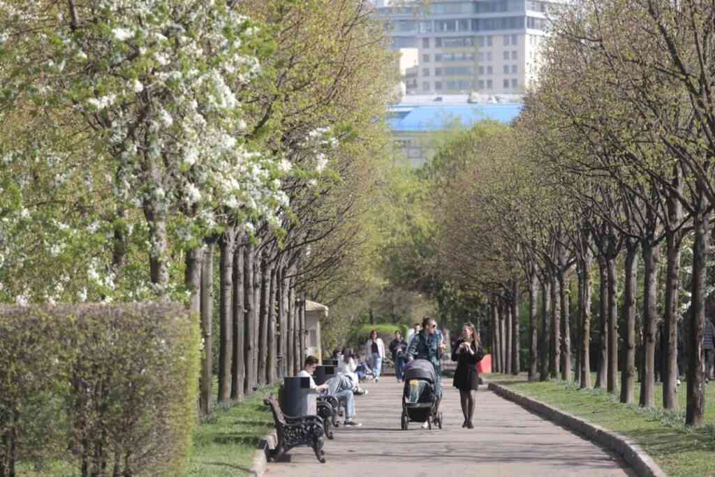 На майские праздники в Москве ожидается до плюс 20 градусов