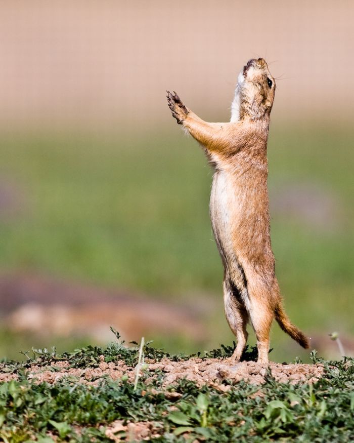 Давайте улыбаться вместе! :) (39улыбок)