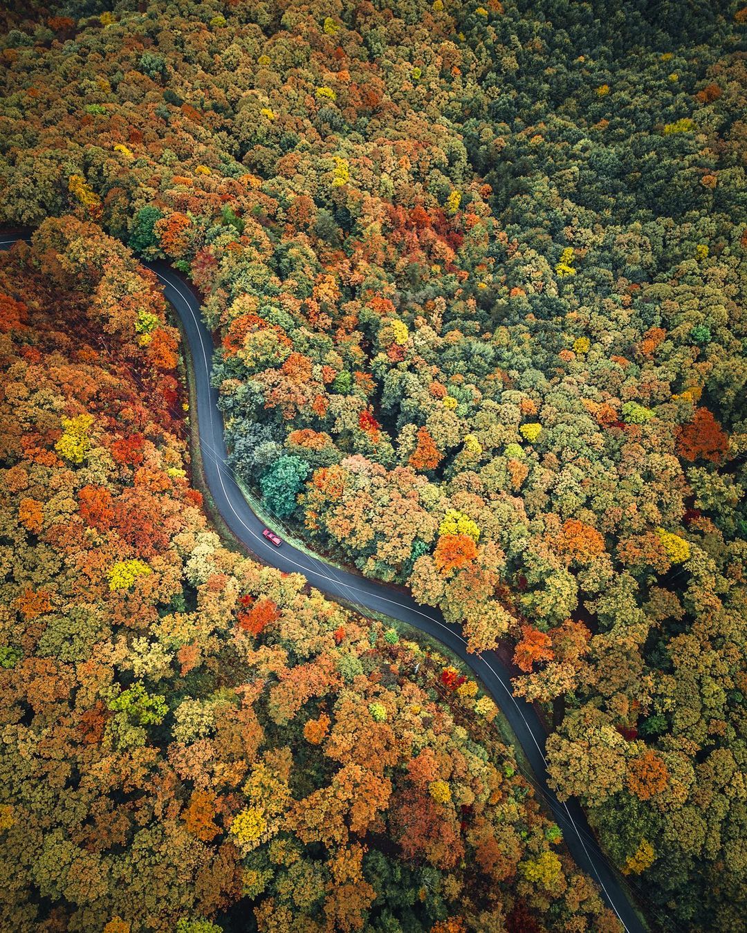 Аэрофотокрасота фотограф, Василев, макросъемка, делает, аэрофотосъемка, маленькое, «Аэрофотосъемка, первый, взгляд, показывает, знакомые, объекты, совершенно, другим, углом, Подобно, Болгарский, большим, маленьким, больше