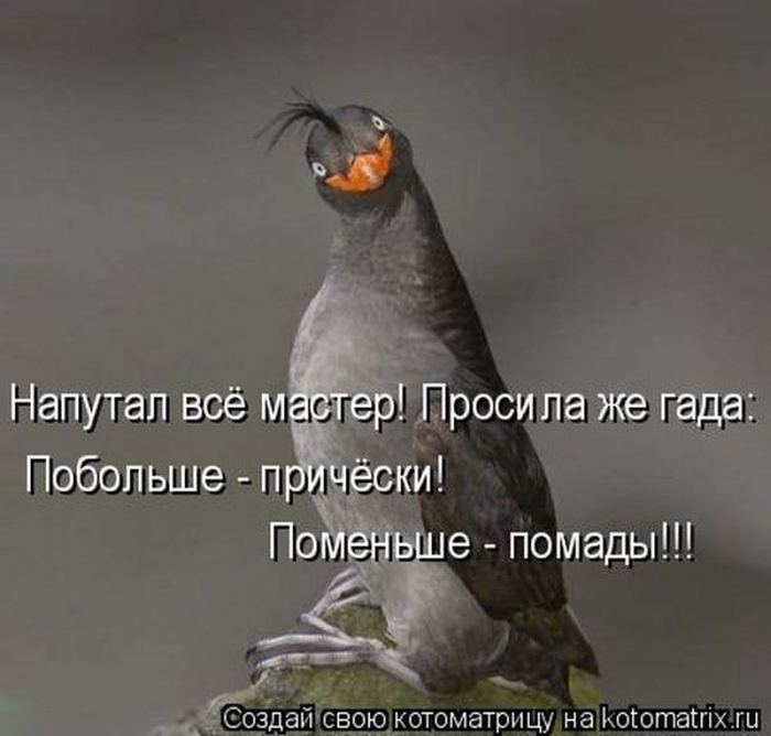 Мысли вслух :)