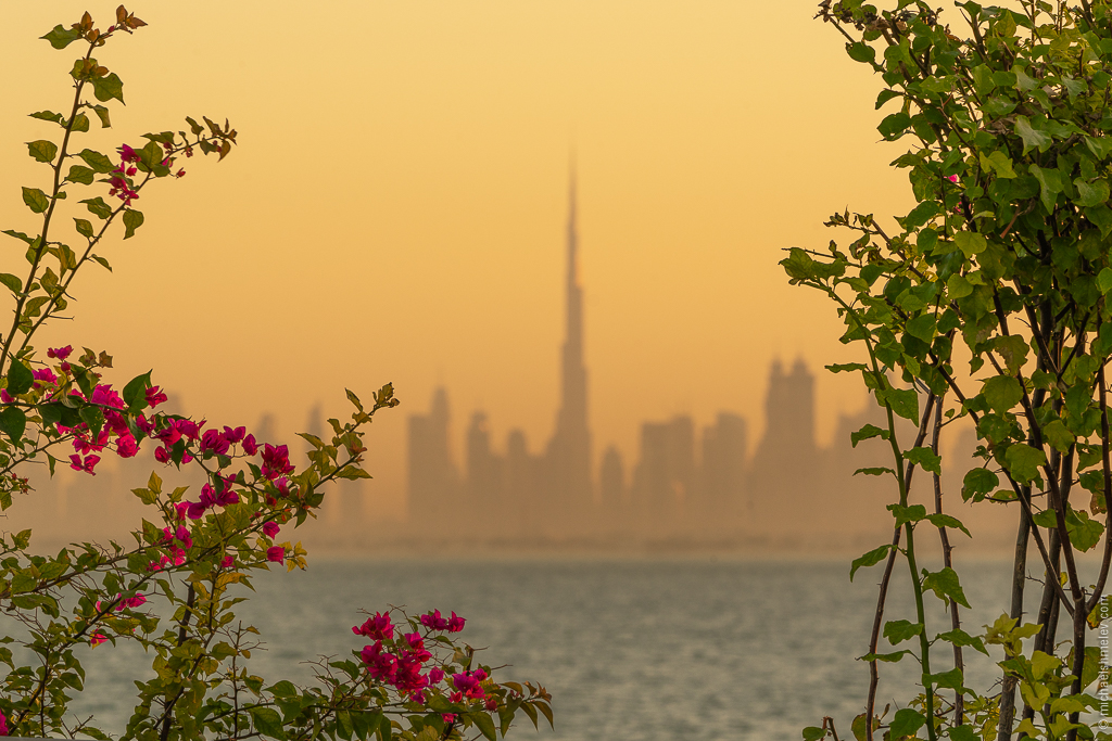 Дубай: успеть за 10 дней авиатур