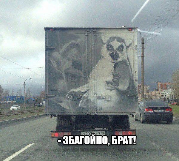 Смешные картинки с надписями прикол, юмор