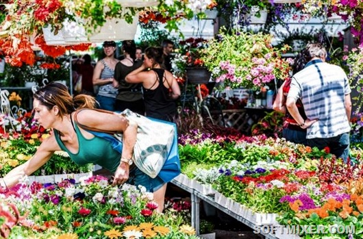 Что канадцу хорошо, то русскому не понять 