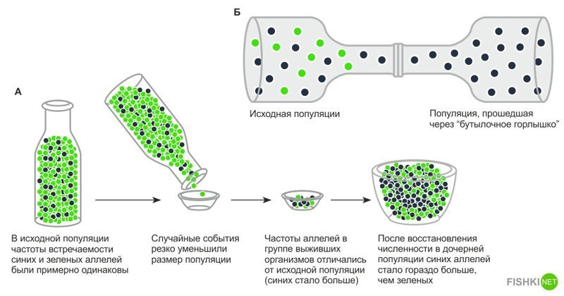 Сколько раз человечество было на грани исчезновения?