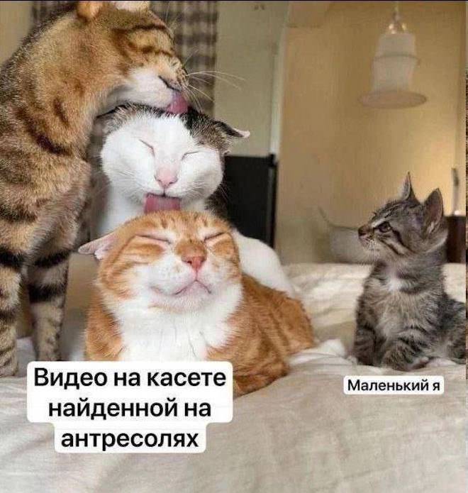 Интернет мемы в воскресение и чай в пирамидках Интернет мемы в воскресение и чай в пирамидках