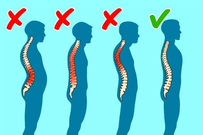 Как постоянно поддерживать правильную осанку: простые лайфхаки здоровье,наука,человек