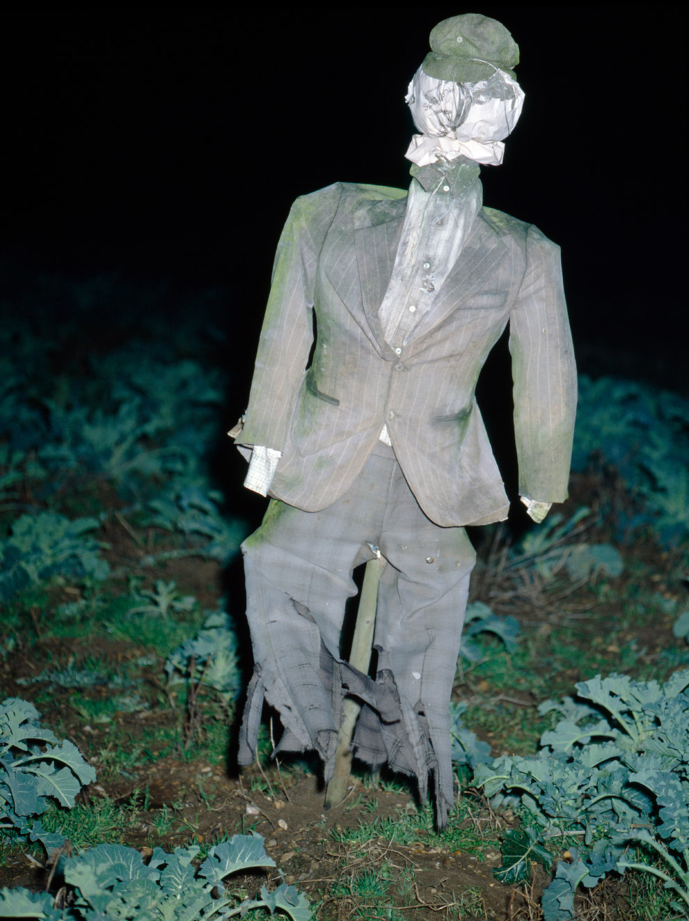 Пугала: страшные фотографии из сельской местности Англии Европа,Путешествия,фото