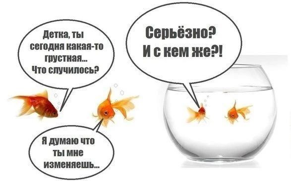 Как мало нужно, чтобы сделать жизнь невыносимой! Камешек в ботинке, таракан в макаронах, женский смех! Как мало нужно, чтобы сделать жизнь невыносимой! Камешек в ботинке, таракан в макаронах, женский смех! Соскучились , моим , картинкам , погналиИнструменты, власти, кнута, запах, пряника , Нутес , пожалуй , закончим , новых , встреч