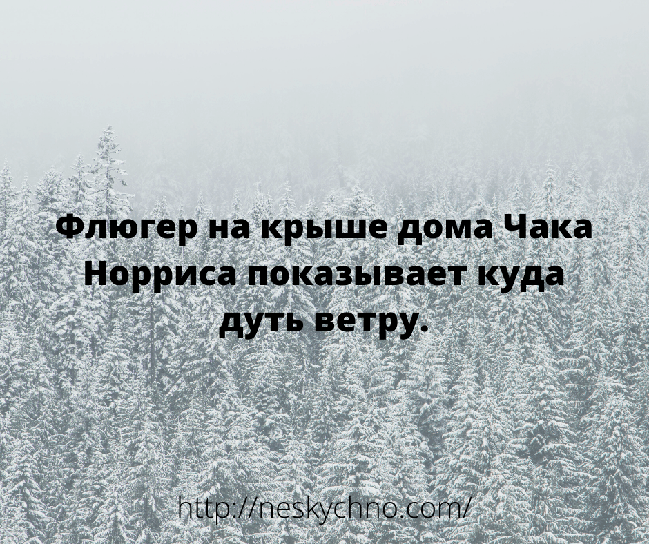Забавные анекдоты для зачетного настроения 