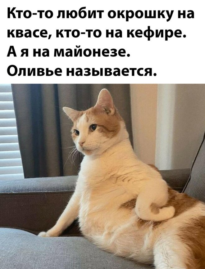 Прикольные мемы: «Устроился удалёнщиком…» Прикольные мемы: «Устроился удалёнщиком…»