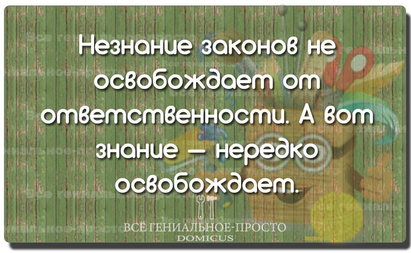 Свежие и веселые картинки с надписями со смыслом (11 фото)