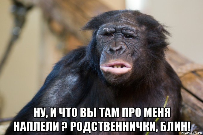 Картинки родни прикольные