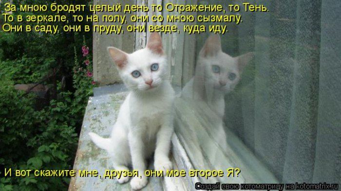 Мысли вслух :)