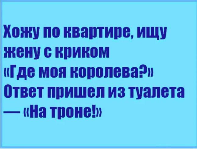 Хитрый страус втайне от жены выпивал с кротами анекдоты,веселье,демотиваторы,приколы,смех,юмор