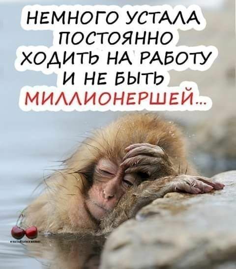 - Что ты будешь готовить на Новый год? - Стихотворение, а потом пойду по соседям!!!...