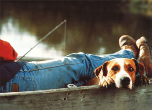 Почему собака хрипит и как лечить хрипы у собак?