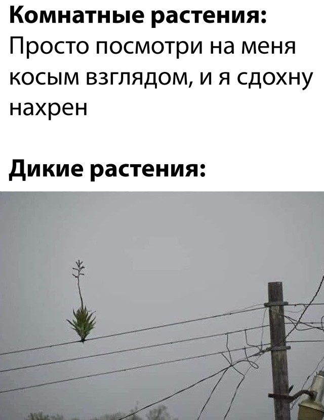 Подборка прикольных картинок Подборка прикольных картинок приколы,смешные картинки,юмор