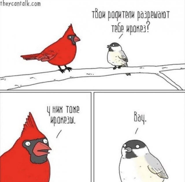 Шутки и мемы из Сети Шутки и мемы из Сети позитив,смешные картинки,юмор