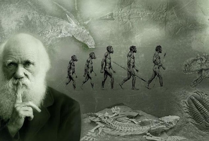 Труд сделал из обезьяны человека: 10 странных утверждений, опровергающих эволюцию наука,странности,факты,эволюция