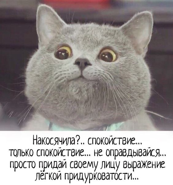 Самые лучшие шутки для отличного настроения Самые лучшие шутки для отличного настроения