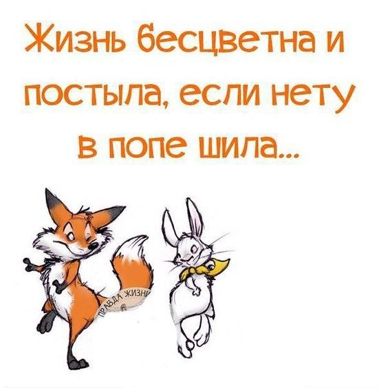 Самые лучшие шутки для отличного настроения Самые лучшие шутки для отличного настроения