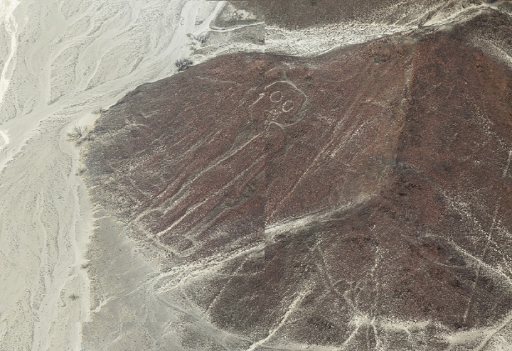 БАЙДЕН УВИДЕЛ ИНОПЛАНЕТЯН: ПРАВИТЕЛЬСТВО США АНОНСИРОВАЛО КОНЕЦ СВЕТА БАЙДЕН УВИДЕЛ ИНОПЛАНЕТЯН: ПРАВИТЕЛЬСТВО США АНОНСИРОВАЛО КОНЕЦ СВЕТА геополитика