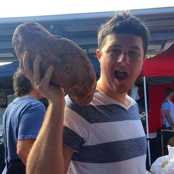 Гигантские овощи на радость веганам Гигантские овощи на радость веганам