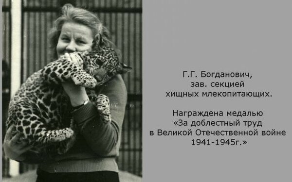 Г.Г. Богданович