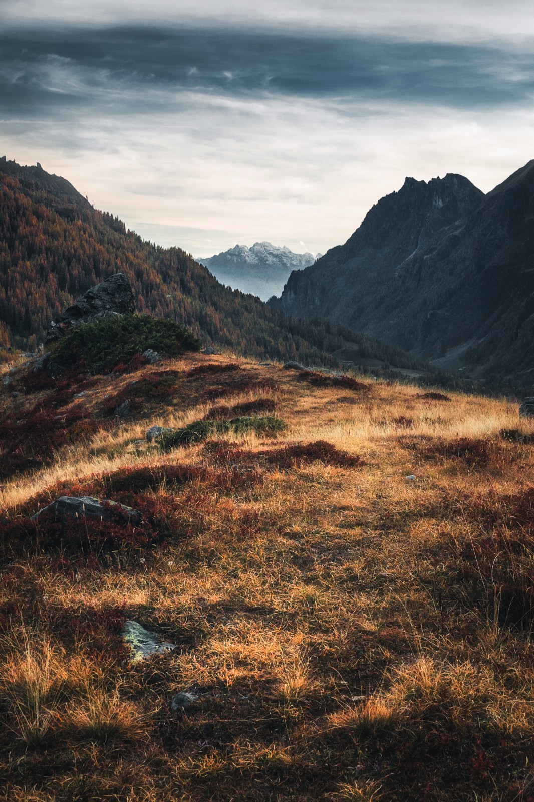 Французские Альпы на снимках Мартина Моргенвека Французские Альпы на снимках Мартина Моргенвека природа