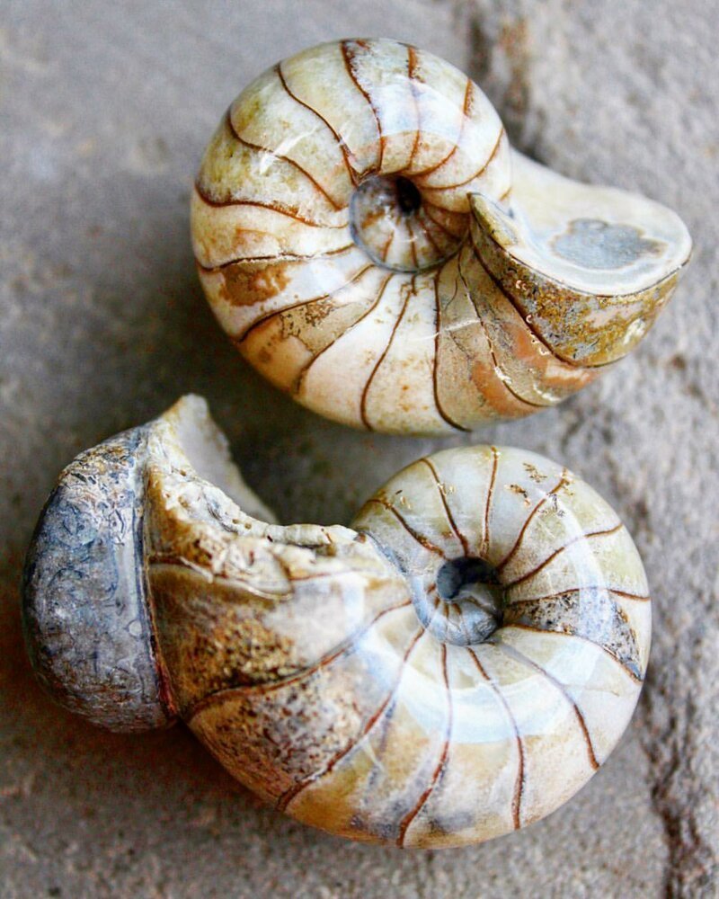 Невероятные находки на берегу моря 