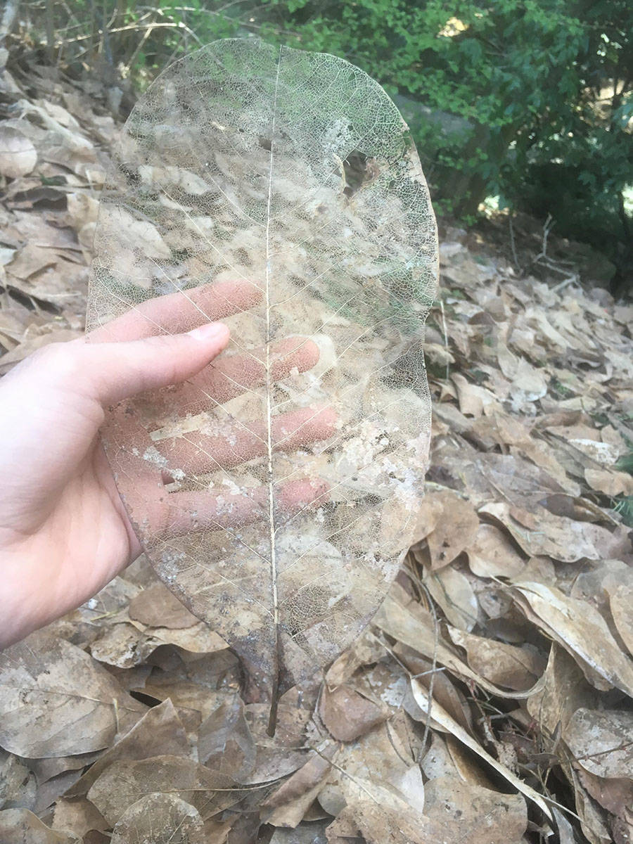 Забавные картинки для хорошего настроения Забавные картинки для хорошего настроения животные,жизнь,звери,земля,котики,коты,курьезы,мир,питомцы,планета,приколы,природа,смешное,собаки,факты,фауна,флора,щенки,юмор