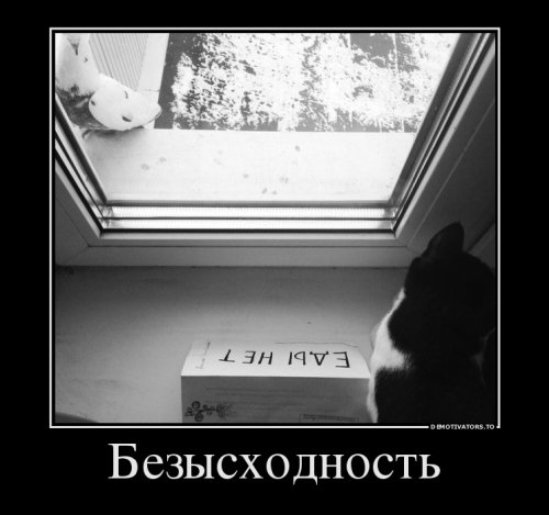 Новые демотиваторы для всех (25 шт)