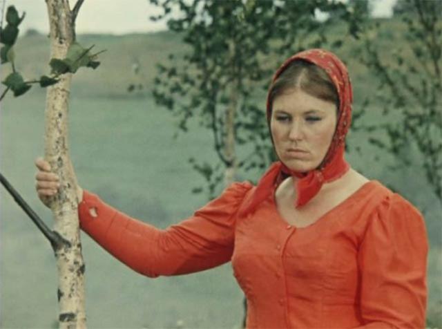 Интересно о Белом солнце пустыни 