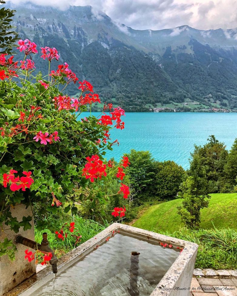 Наша прекрасная планета