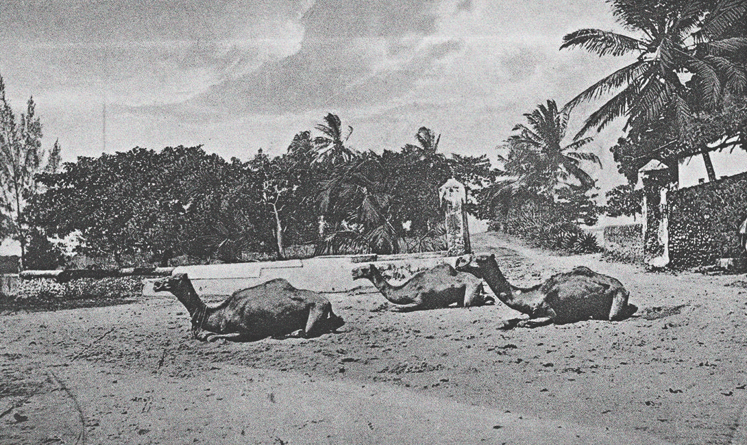 10 интересных стран, которых больше нет интересное,страны