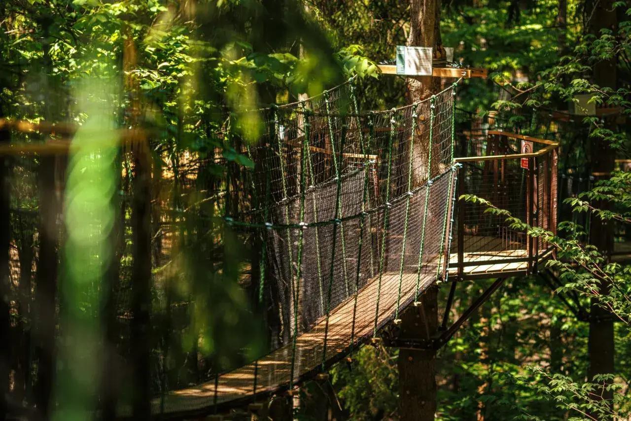 Куда поехать на майские праздники в Подмосковье: 7 проверенных парк-отелей с бассейнами Московская, можно, область, территория, также, отдыха, городской, бассейн, пруда, детей, анимация, округ, бассейном, сауны, берегу, веревочный, который, ресторан, апреля, Подмосковья