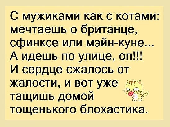   ,   ,     