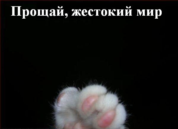 Мысли вслух :) Мысли вслух :)