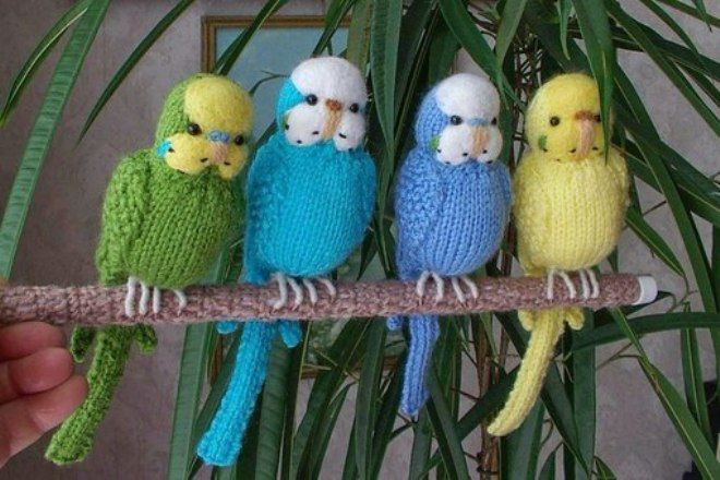 Пообщаться с вязанными братьями нашими меньшими бесполезные, смешно, странное, товары, юмор