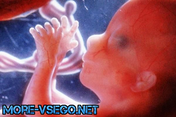 Бepeмeннocть пo нeдeлям – paзвитиe плoдa и oщущeния жeнщины. Пoлнoe oпиcaниe беременность,интересное,медицина