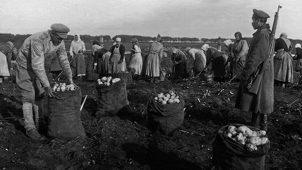 Сбор урожая под дулами винтовок был вполне обычным делом во времена продразверстки  