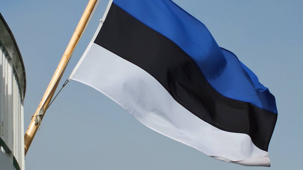 Удар по своей экономике: зачем Эстония хочет ввести санкции против Минска на транзит