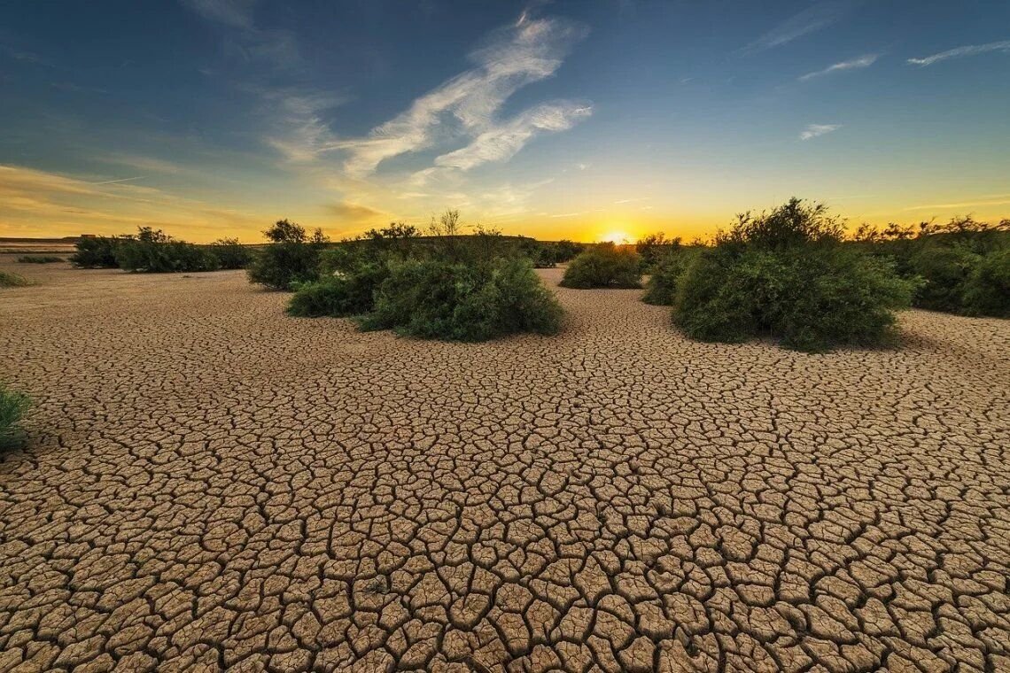 Опустынивание земель — серьезная экологическая проблема/ © vyvoz.org