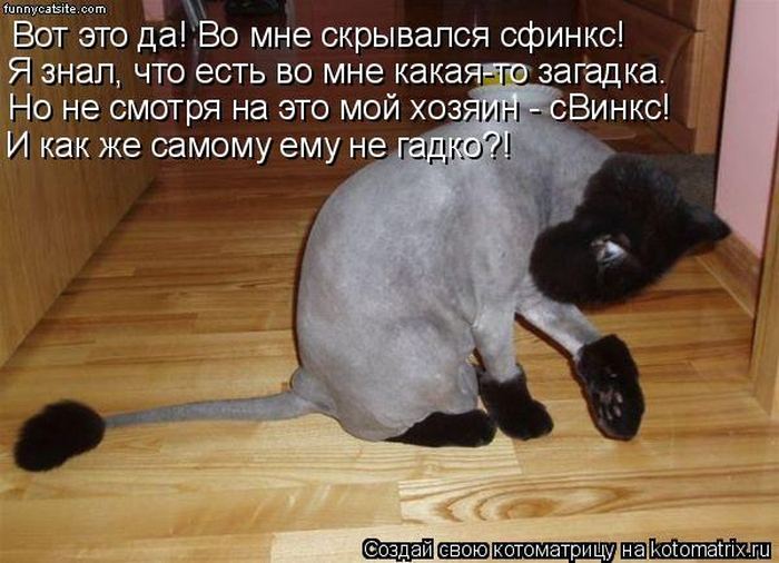 Мысли вслух :)